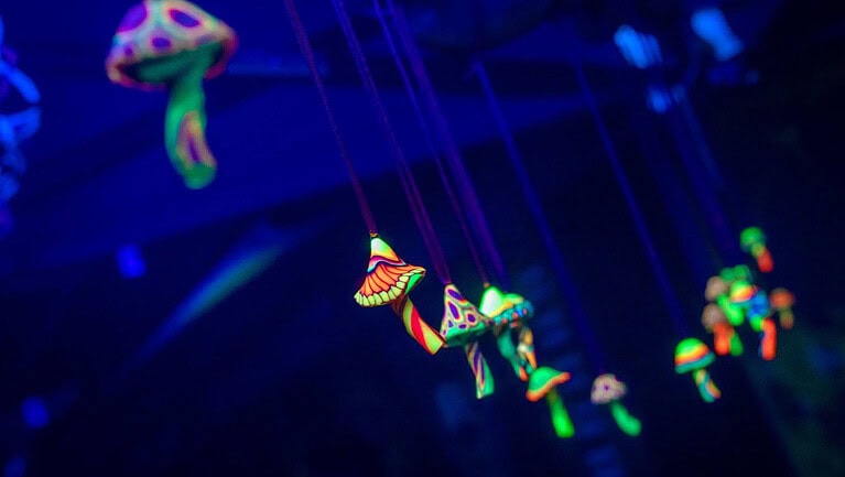 Bunte, leuchtende Pilze hängen von einer Decke in einem dunklen Raum mit UV-Licht.